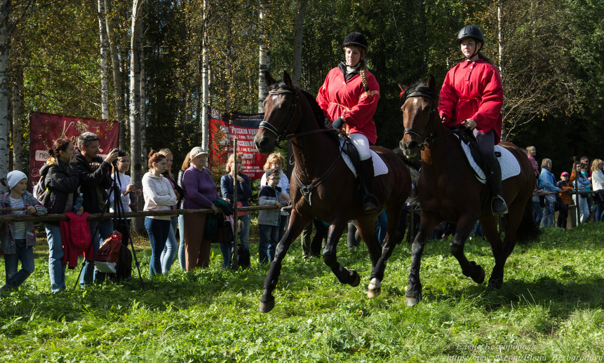 Фото Елены Безбородовой